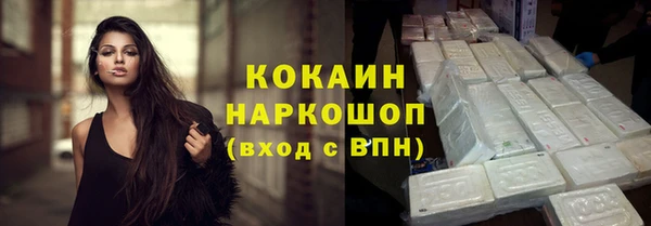 шишки Михайловск