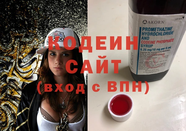 шишки Михайловск