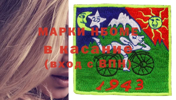 шишки Михайловск