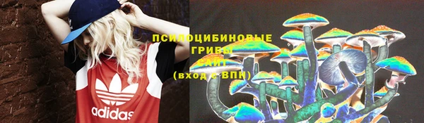 шишки Михайловск