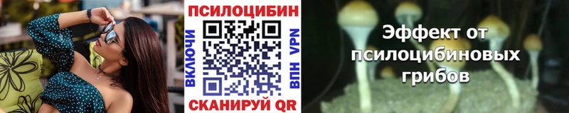 Псилоцибиновые грибы Magic Shrooms  OMG ONION  Тарко-Сале  даркнет Telegram  купить закладку 